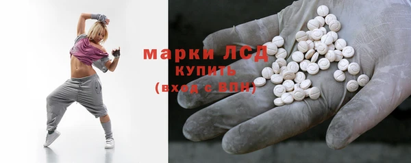 прущие грибы Алзамай