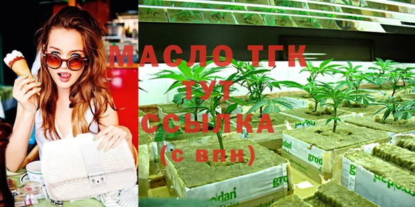прущие грибы Алзамай