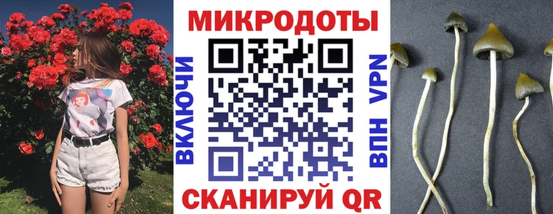 Псилоцибиновые грибы мухоморы  где найти наркотики  Задонск 
